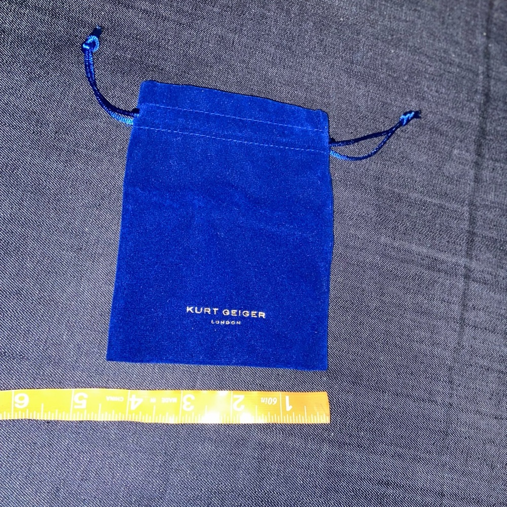 Kurt Geiger Dust bag!